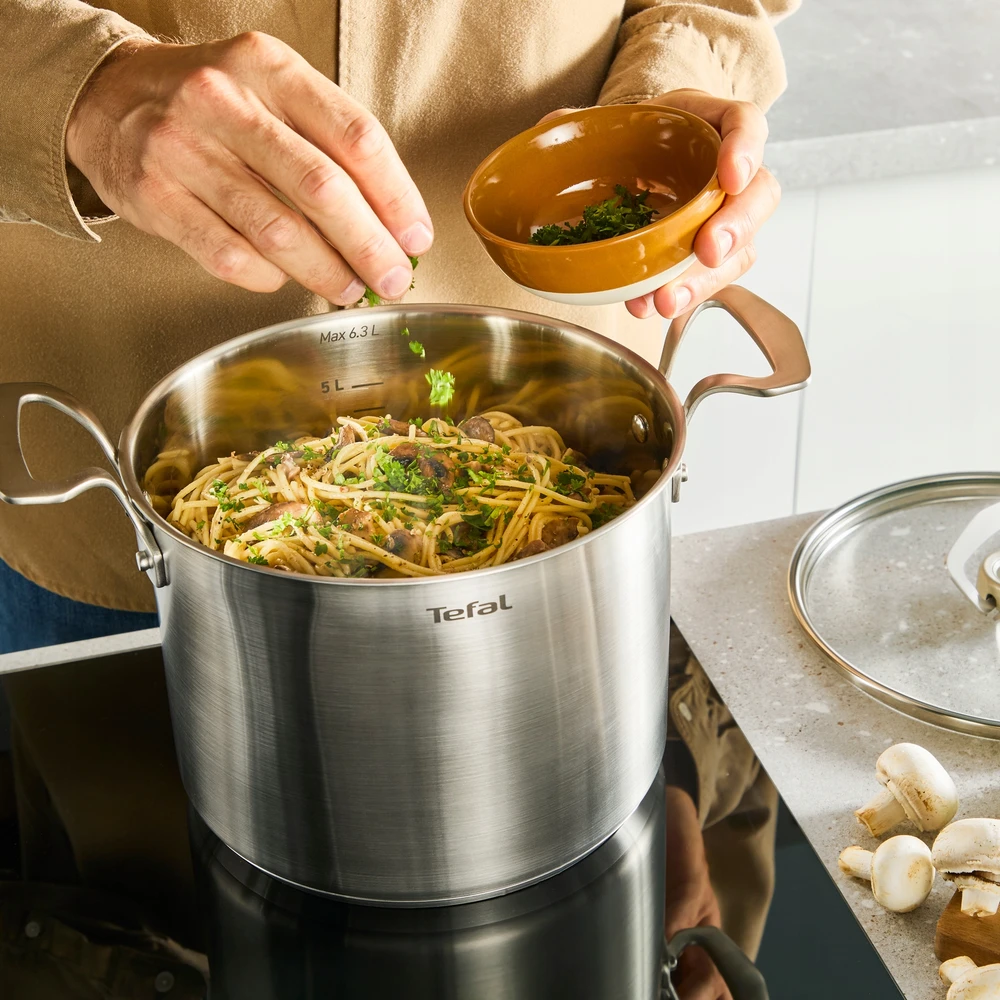 Plieninis puodas su dangčiu TEFAL Extreme 22cm 6,3l E5296104 dujų indukcija