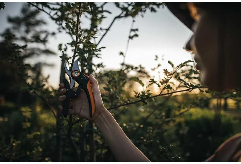 Fiskars Plus PowerLever sekatorius atraminiais ašmenimis (P741)