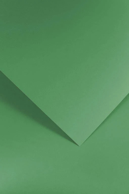 Galeria Papieru Popierius diplomams A4 190g 20l VERA