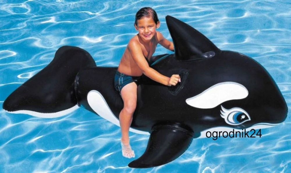 Intex Lil' Whale Ride On Swimming Board Juodas/Baltas
