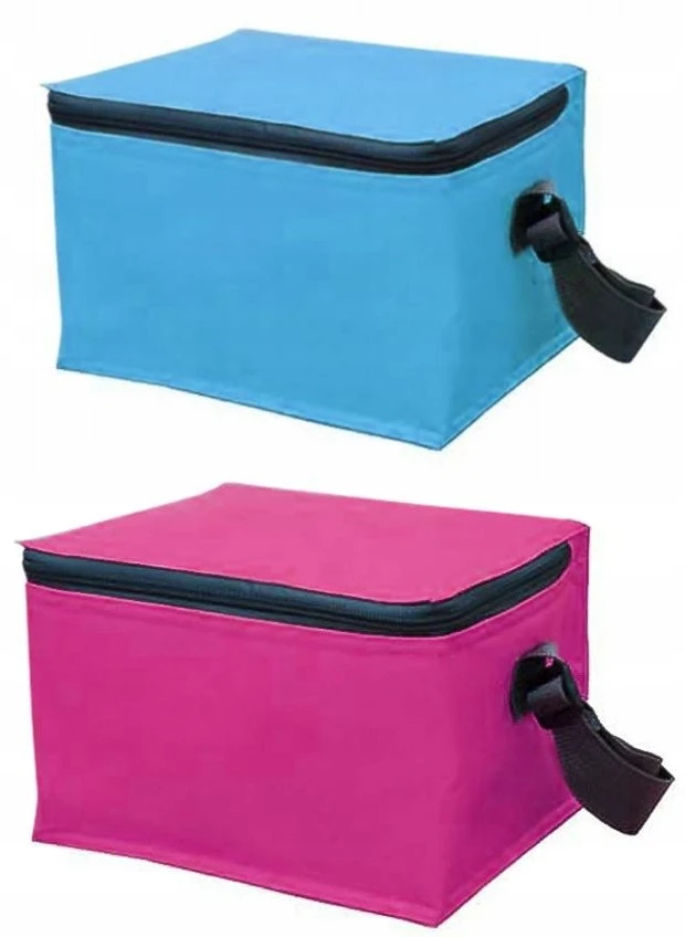 PROMIS TL035 THERMAL BAG BEACH PICNIC TOURIST aušintuvas paplūdimiui