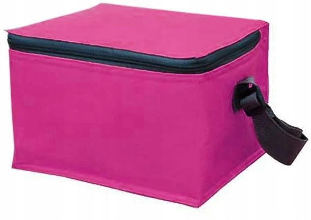 PROMIS TL035 THERMAL BAG BEACH PICNIC TOURIST aušintuvas paplūdimiui