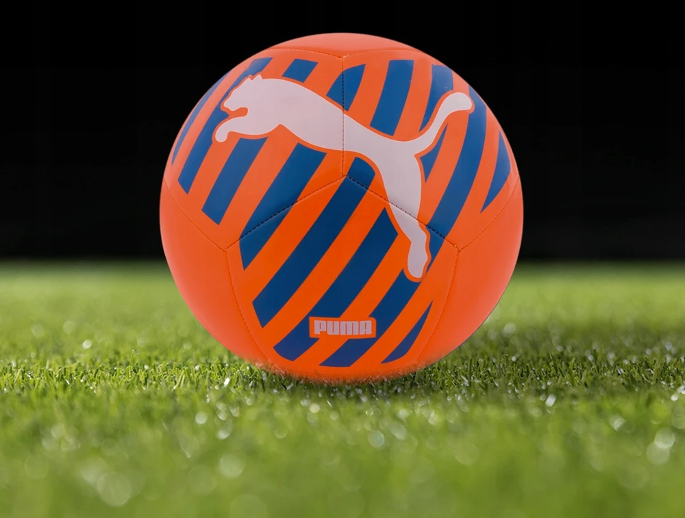 PUMA futbolo kamuolys treniruočių sportinis siūtas dydis 5 su pompa