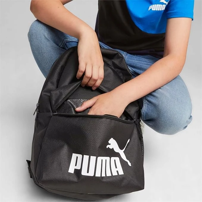 Puma Kuprinė Phase Backpack Gray 079943 37