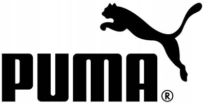 Puma Kuprinė Phase Aop Backpack Pilkas 091733 09