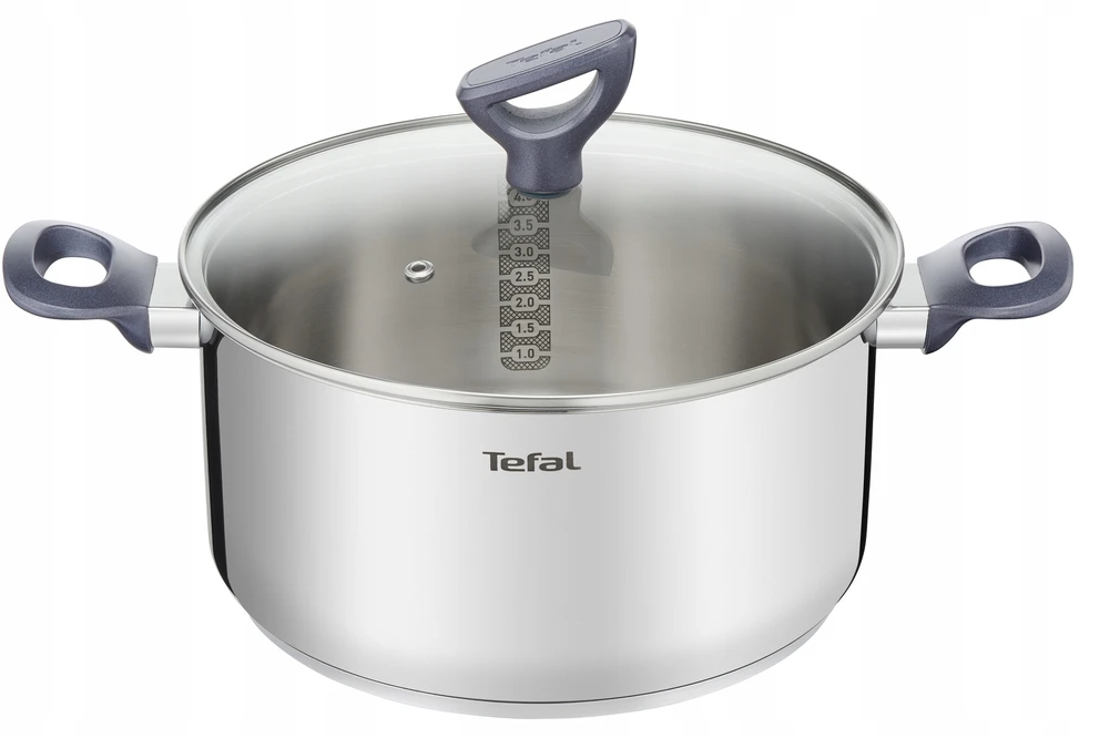 TEFAL Daily Cook puodas su dangčiu 24 cm [G7124645]