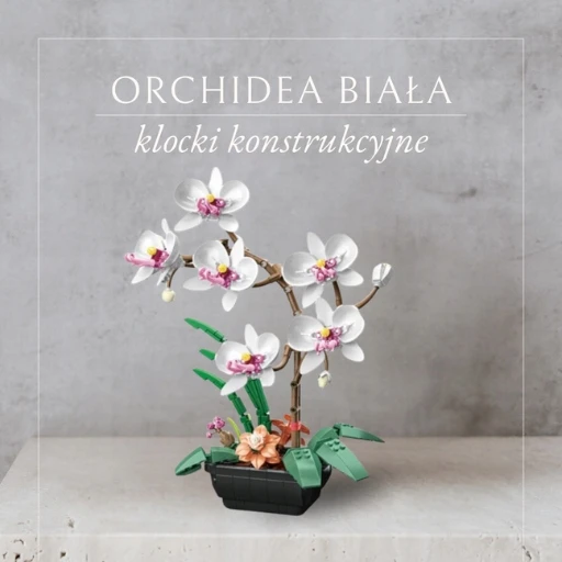 QBI Baltos orchidėjų konstrukcinės kaladėlės 581 vnt