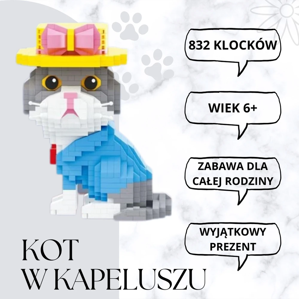QBI Katė skrybėlėje blokai 832 vnt. rinkinys
