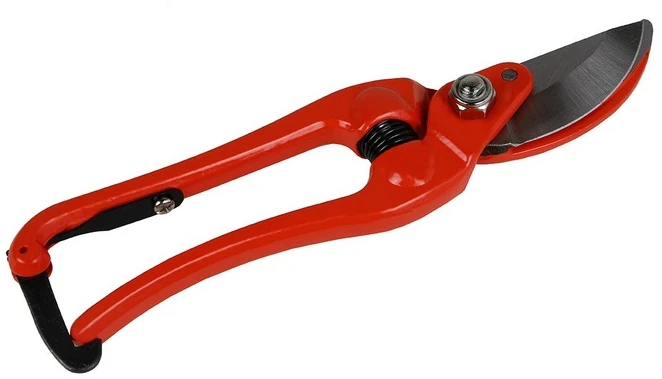 Rankinis genėtuvas gėlėms, krūmams ir šakoms karpyti PROFI' BRADAS KT-RG1027/8