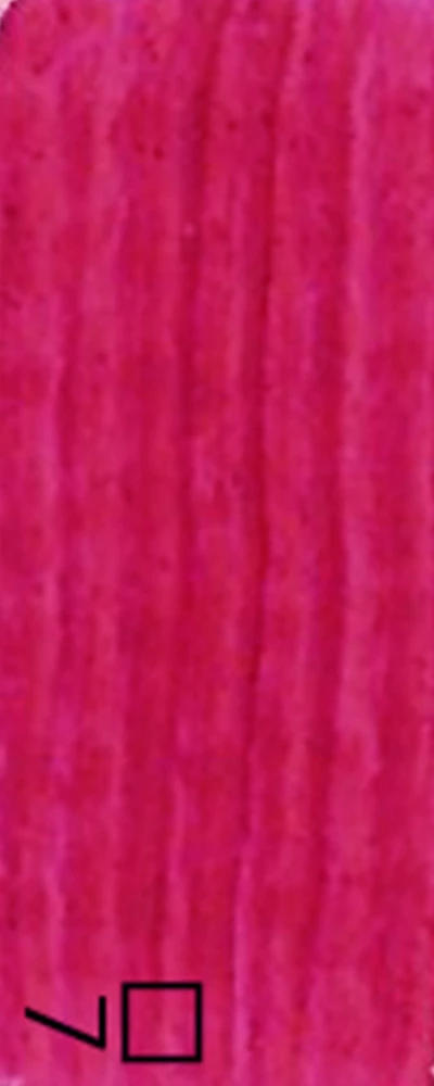 Renesans Olej for Art aliejiniai dažai 60ml - 23 Raudona Magenta