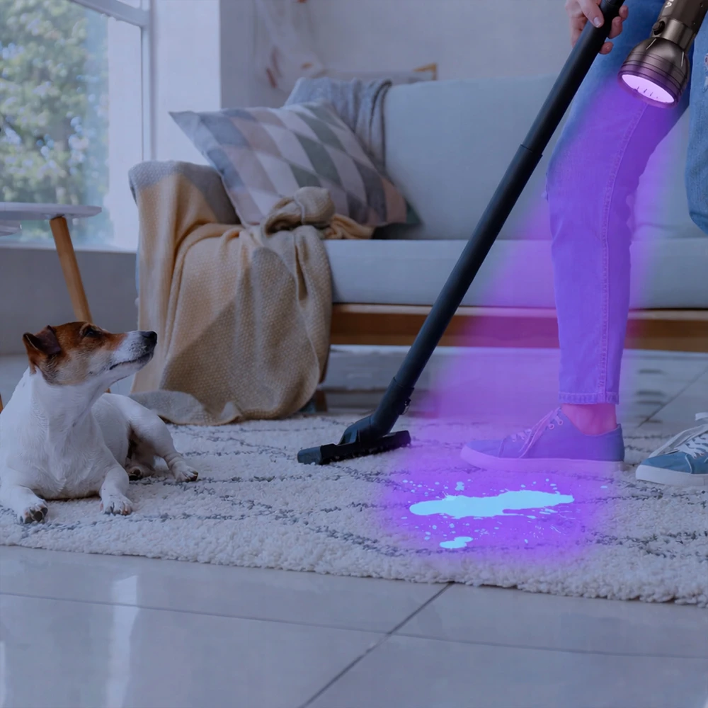 Renew Force UV 51 LED žibintuvėlis, skirtas GINTARO IEŠKOTI IR NAGŲ KONDICIONAVIMO TIKRINIMAS