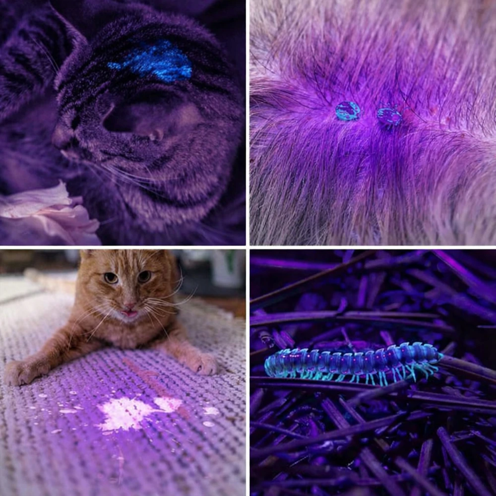 Renew Force UV BIRŠTYNAS GINTARO DETEKTORIUI NAGŲ nešvarumų detektoriumi 21LED