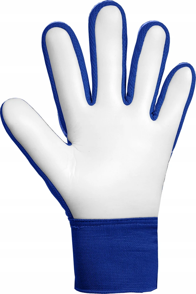Reusch Attrakt Starter Solid Junior Goalkeeper Gloves 56 72 514 4126