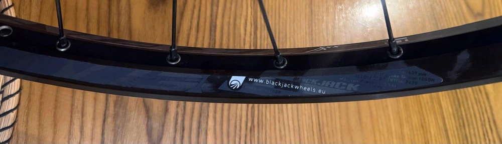 Rodi Priekinis ratas MTB DH BLACKJACK Ready 30 E-bike 29'' 15x110 mm