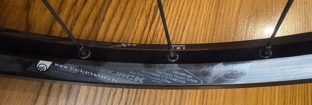 Rodi Priekinis ratas MTB DH BLACKJACK Ready 30 E-bike 29'' 15x110 mm