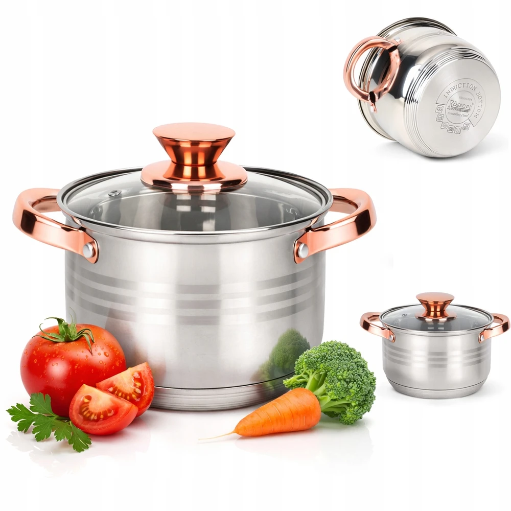 Rossner Austria TRADICINIS PLIENINIS PUODAS 20cm su dangčiu INDUKCINĖS DUJOS 2,8L Rossner AUSTRIJA