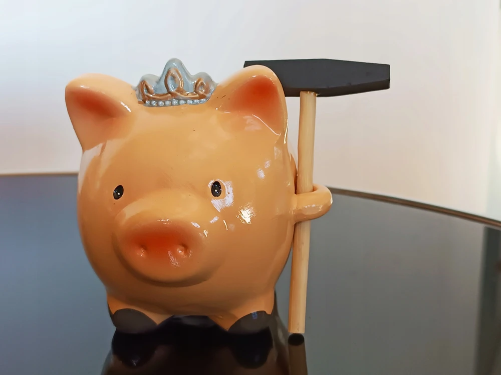 Roter Piggy bank princesė kiaulytė su plaktuku paršeliu kaip dovana