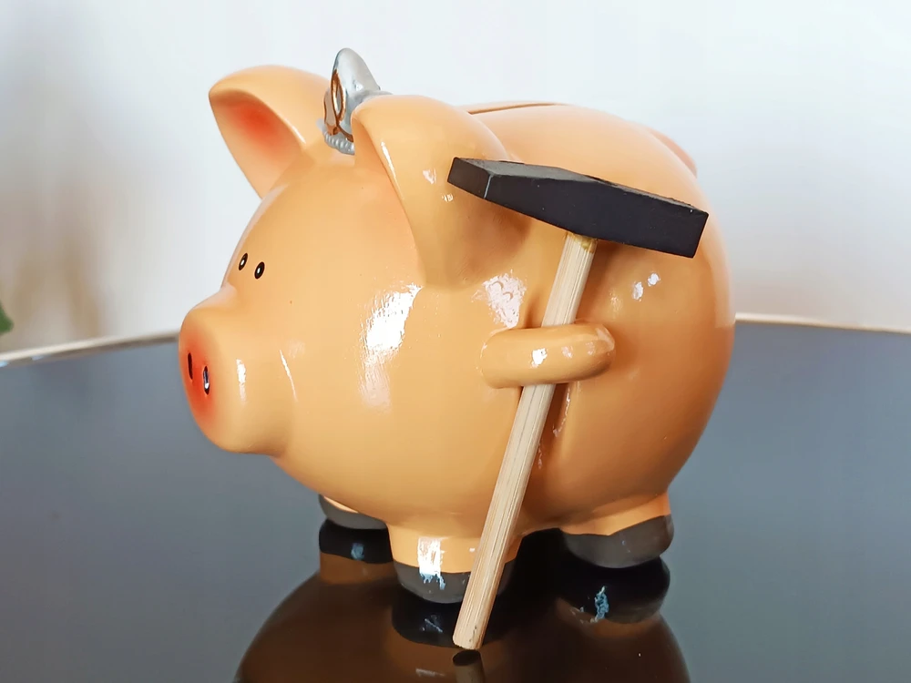 Roter Piggy bank princesė kiaulytė su plaktuku paršeliu kaip dovana