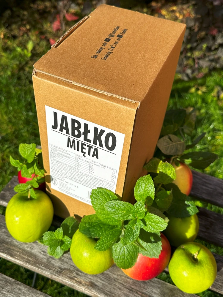 Sadvit Obuolių mėtų sultys 100% obuolių su mėtomis NFC 5L gaivinam limonadui