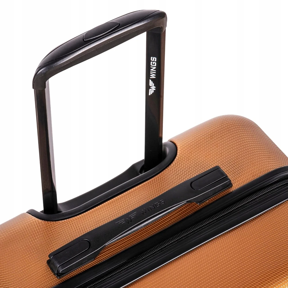 Salono Lagaminas Wings Pc Sea Eagle 20" Sidabrinis
