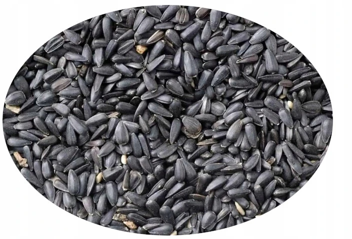 SAULĖGRĄŽOS LAUKINIAMS PAUKŠČIAMS 1kg TURDUS PL812