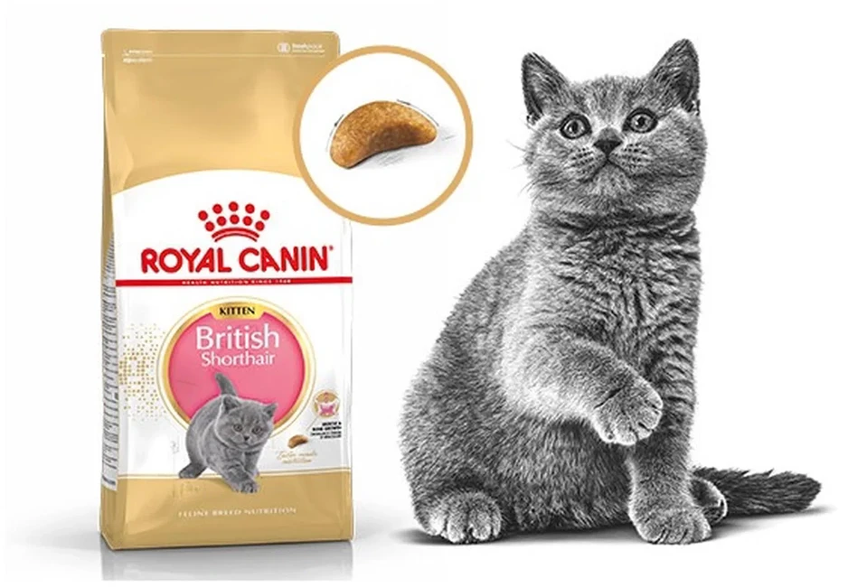 Royal Canin British Shorthair 4kg
