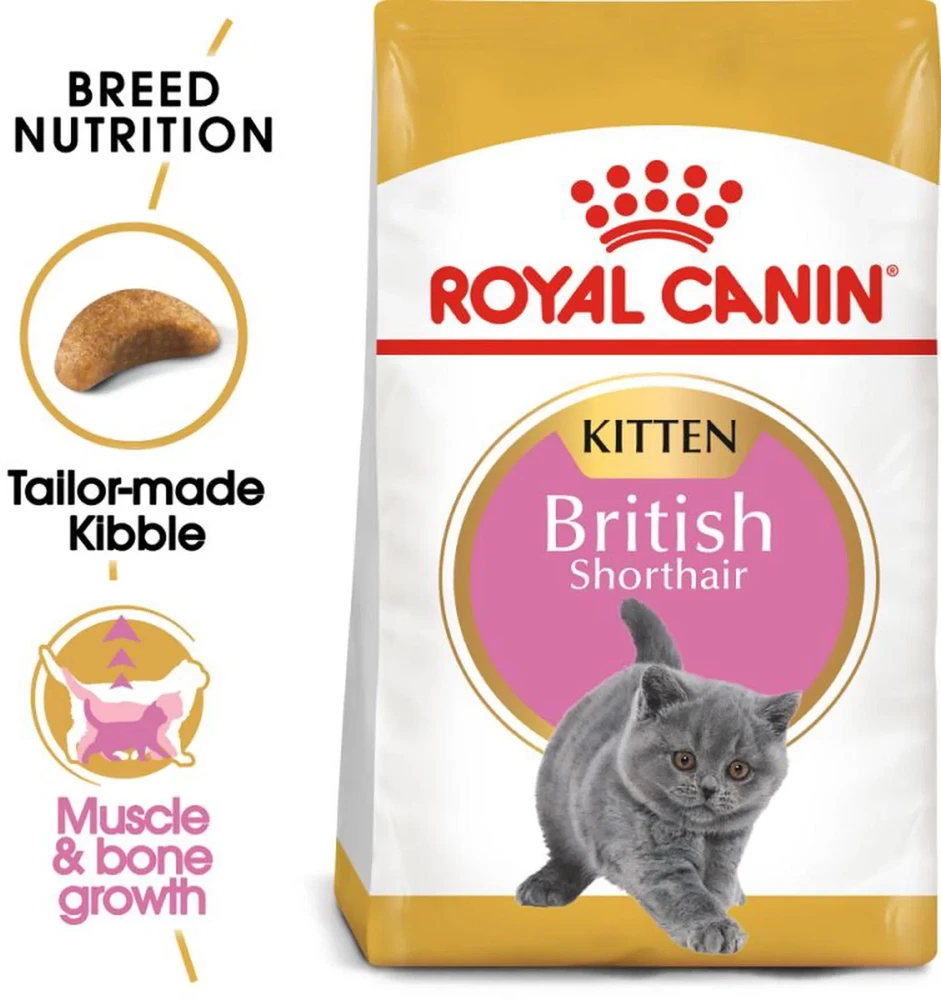 Royal Canin britų trumpaplaukis kačiukas 2kg