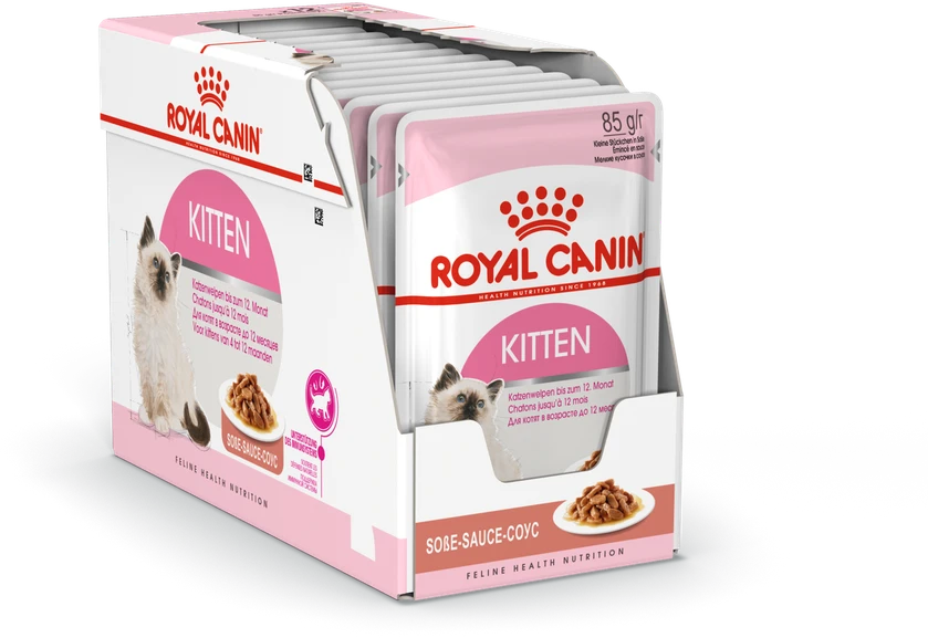 Sausas kačių ėdalas ROYAL CANIN FHN Ageing 11+, 400g