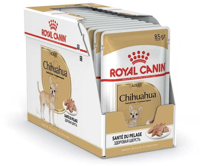 BHN Dog Chihuahua Adult 1,5kg