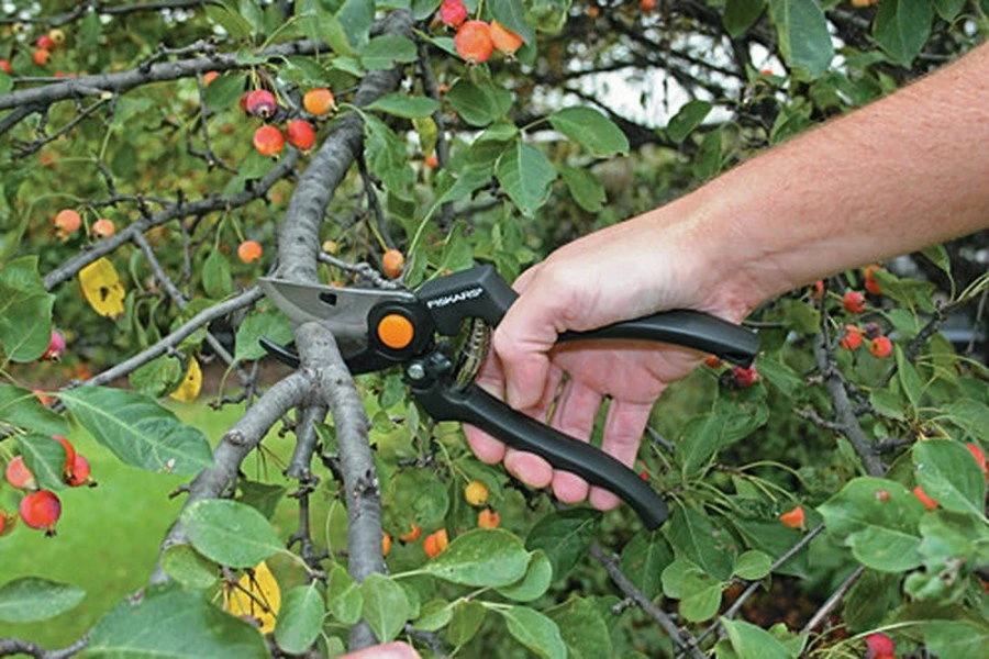 FISKARS Sekatorius profesionalus P90 (1001530)