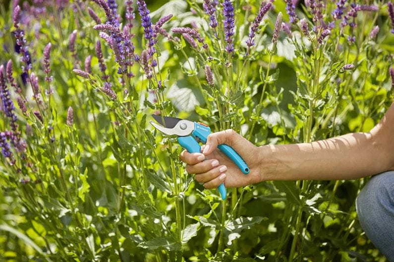 Sekatorius su atraminiais ašmenimis Gardena Classic 08754-20