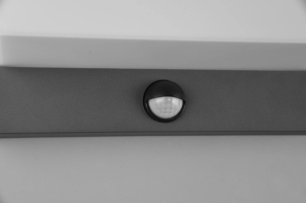 Sieninis LED lauko šviestuvas PHILIPS PETRONIA, IP44, 2700 K, 12 W, 1200 lm, su judesio davikliu