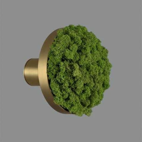 Sieninis šviestuvas Sieninio šviestuvo CHAMALEON diskas, šviesiai žalias, 145mm, K0003140VEC