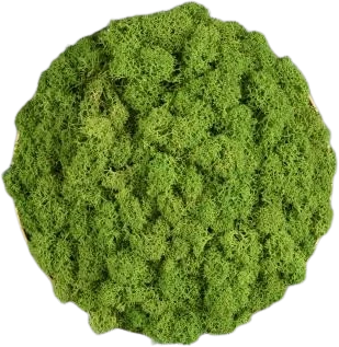 Sieninis šviestuvas Sieninio šviestuvo CHAMALEON diskas, šviesiai žalias, 145mm, K0003140VEC