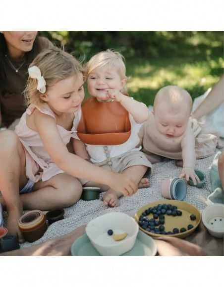 Mushie silikoninis seilinukas Pale Mauwe