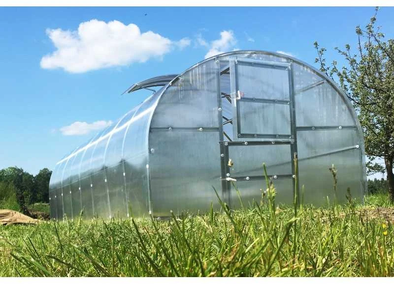 Meistro Kodas Šiltnamis BALTIC LT 3 x 12 m (36 m2) 4 mm danga