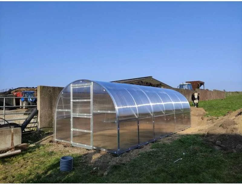 Meistro Kodas Šiltnamis BALTIC LT 3 x 12 m (36 m2) 4 mm danga