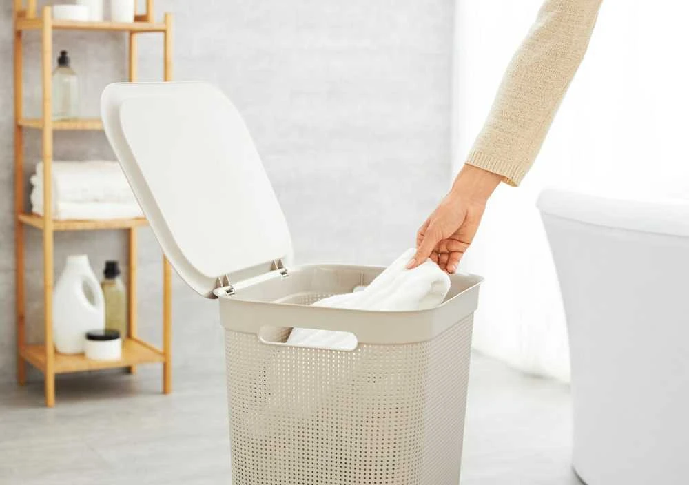rotho Skalbinių dėžė BRISEN, 50 l, kapučino spalvos