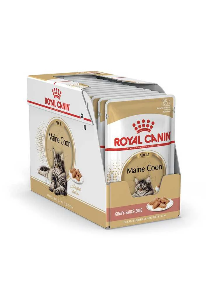 Royal Canin FBN Cat Maine Coon padažas 12x85 g