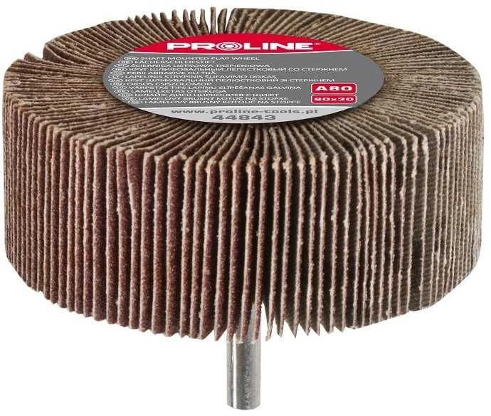 Proline Šlifavimo diskas A80 80x30mm su 6mm ašimi