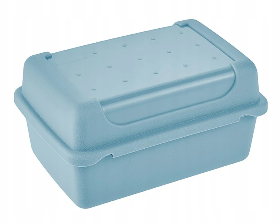 Śniadaniówka, indas na kanapki, Lunchbox, MICRO, LUCA 0,35l - KEEEPER