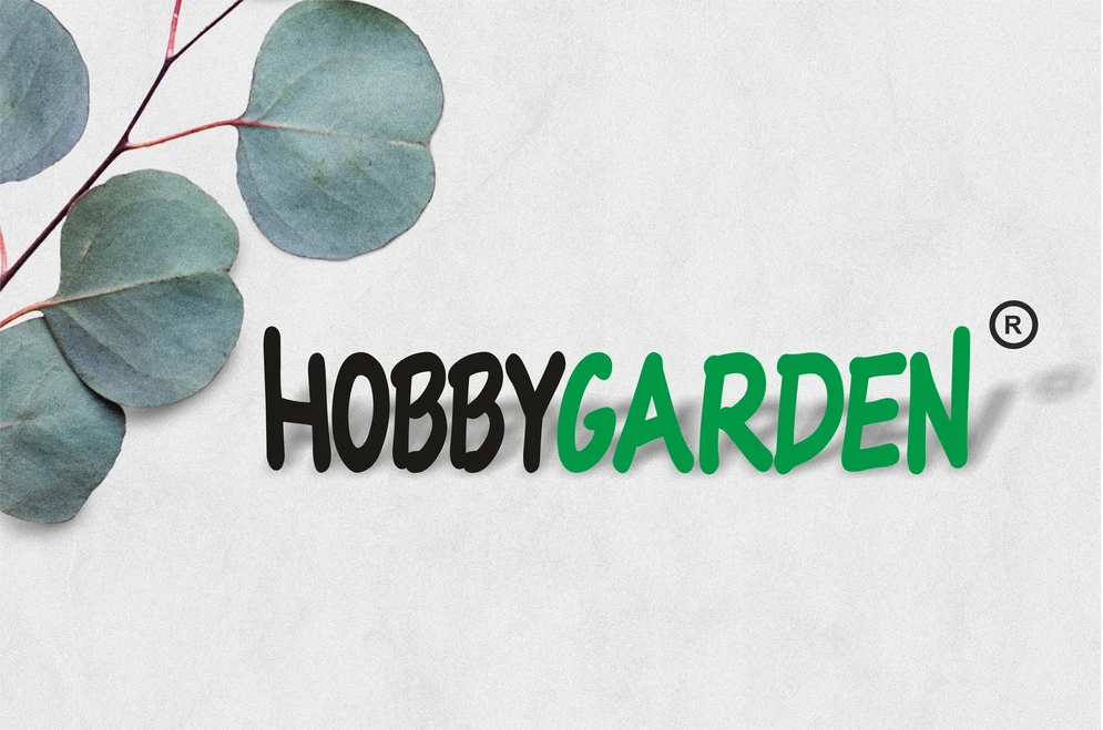 Sodo kėdė su pagalvėle - Sodo fotelis - Hobbygarden sulankstomas šezlongas