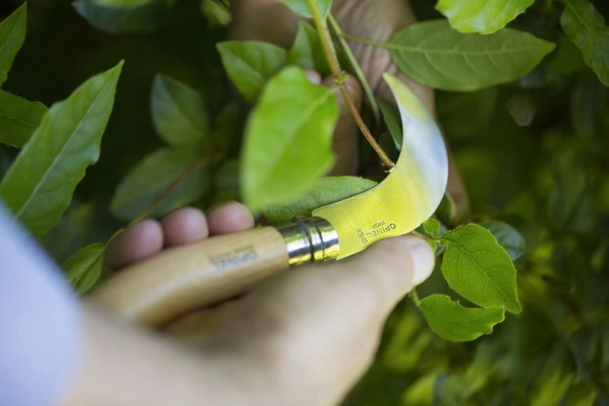 Sodo peilis Opinel N°10 Billhook