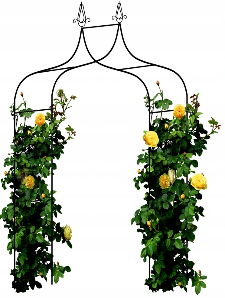 Sodo arka metalinė 150x240 cm