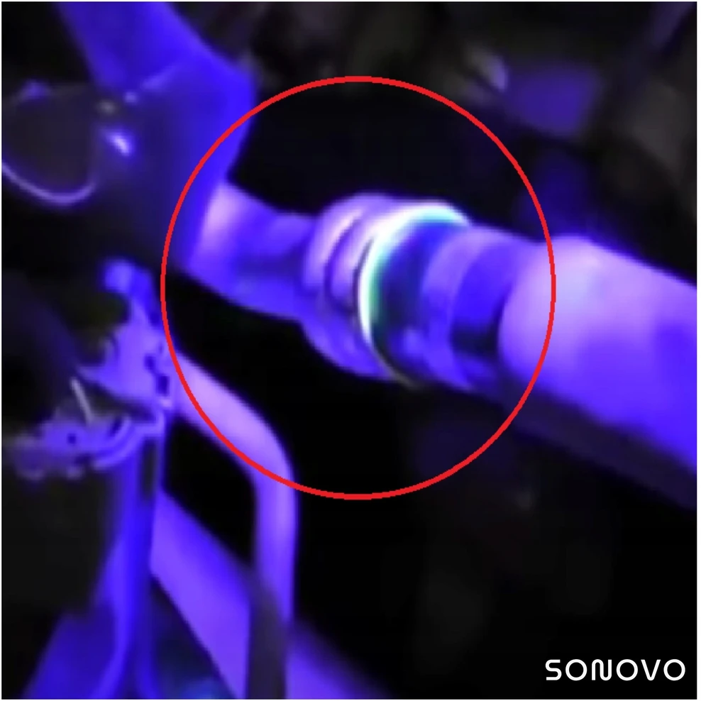 Sonovo Galingas UV žibintuvėlis 12 LED 395nm gintaro mineralams + 3x AAA baterijos