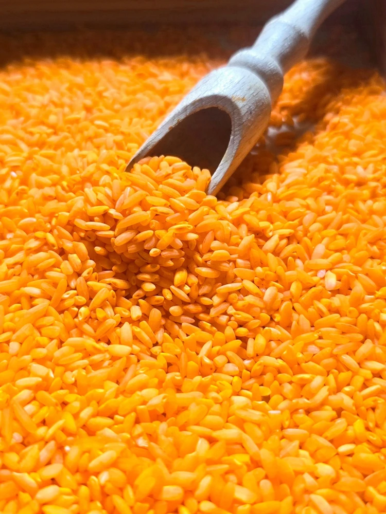 SPALVINGI JAUTINIAI RYŽIAI (ORANŽINĖS) NAUDOJANT FIFNA MAMA 1 KG