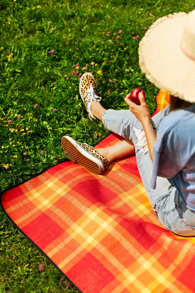 Pikniko Kilimėlis Spokey PICNIC SUNSET