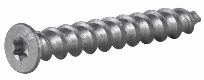 Essve FIBO sraigtas CorrSeal 8x65, 100 vnt.