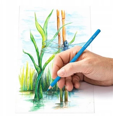 Staedtler akvarelinės kreidelės "design Journey", 12 spalvų