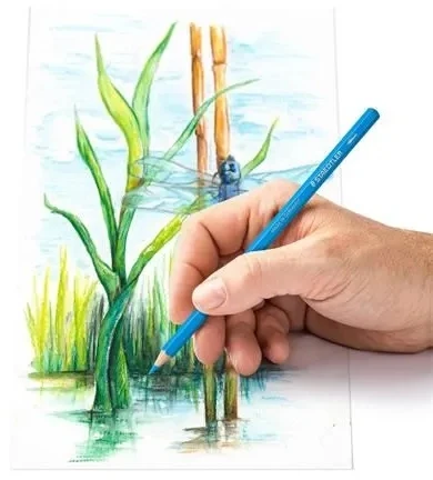Staedtler akvareliniai pieštukai 24 spalvos